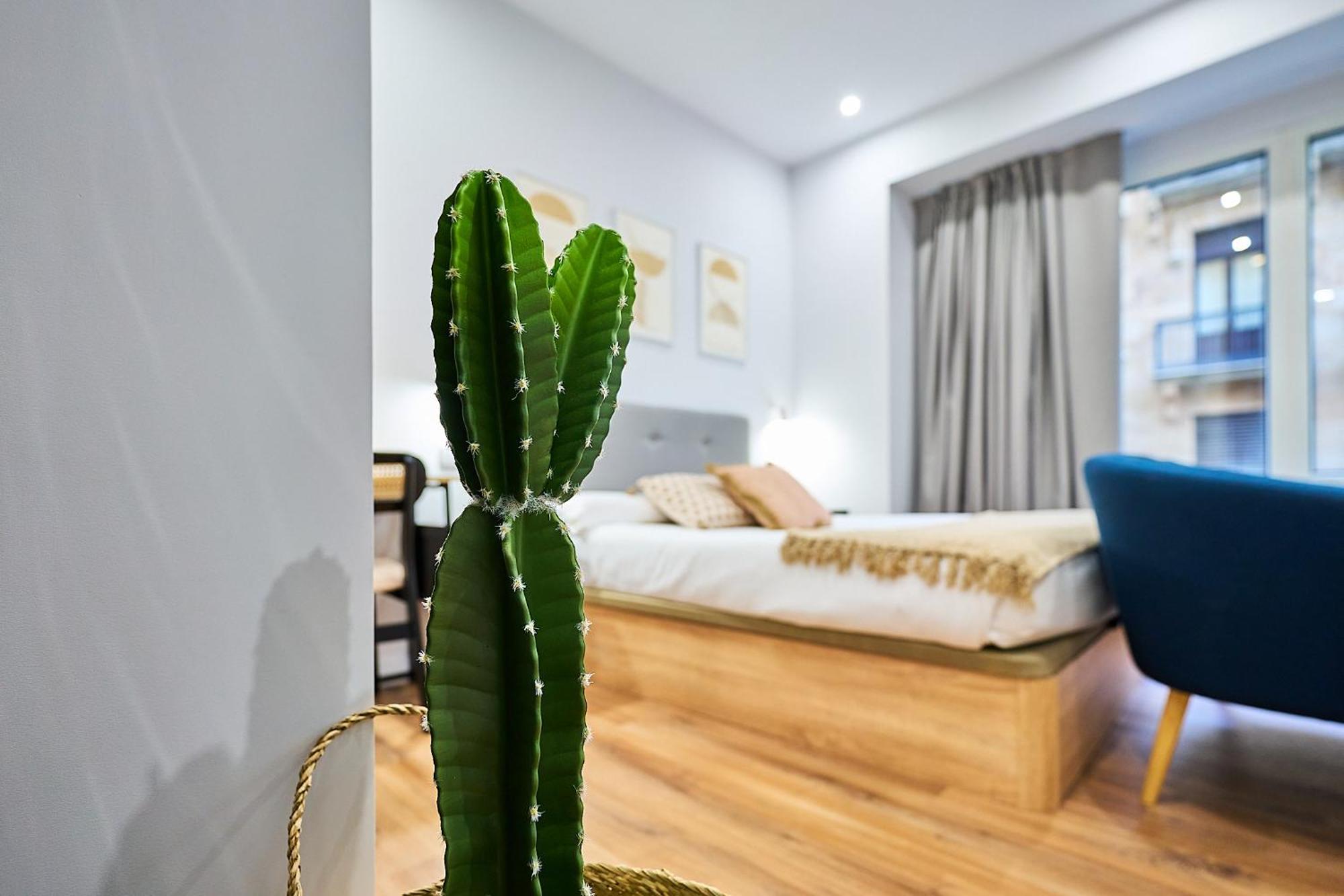 Apartamentos Esperanza By Gaiarooms Σαλαμάνκα Εξωτερικό φωτογραφία
